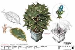 035_Ficus-Plant_v003