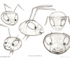 009_Ant-Male-Head-Profiles