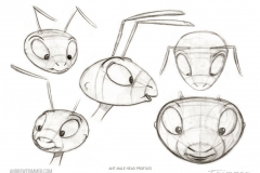 009_Ant-Male-Head-Profiles