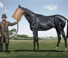 025_Avante-Card-Ugly-Horse