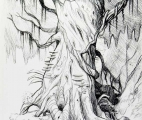 030_Old-Tree-on-Ledge