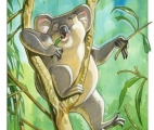 Lazy-Koala