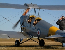 Tiger Moth Startup